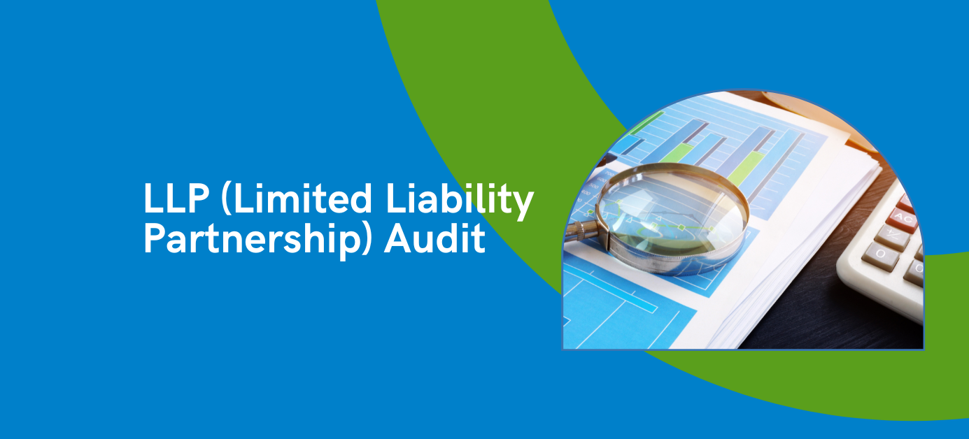 LLP Limited Liability Partnership Audit